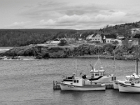Neils Harbour, Nowa Szkocja